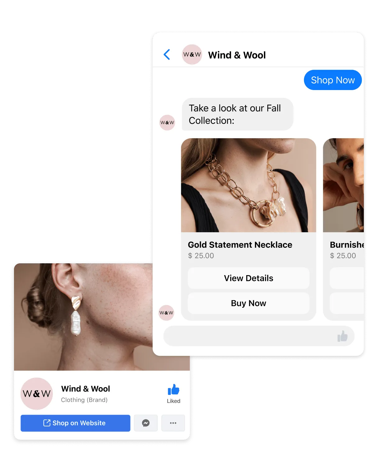 Example of the Instagram Platform (Shopping)
