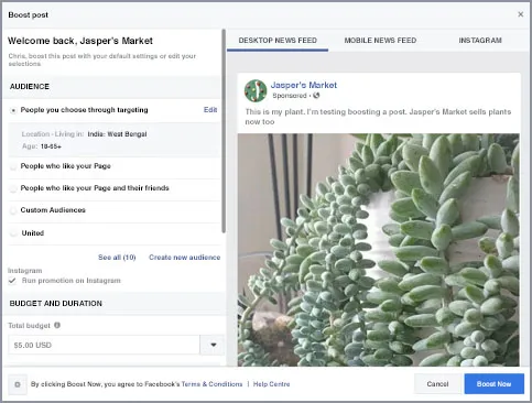 Boost Facebook business Page post interface on desktop