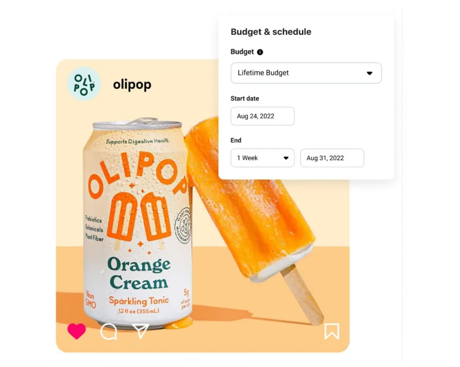 Ad with Budget & Schedule interface.