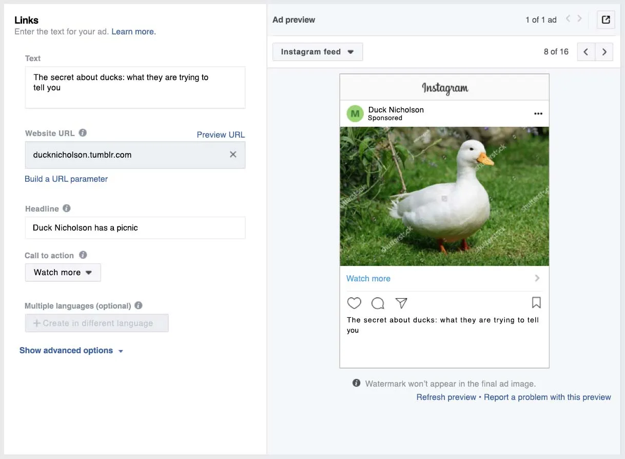 Screen of a Facebook Ads Manager's ad preview showing the Instagram feed option